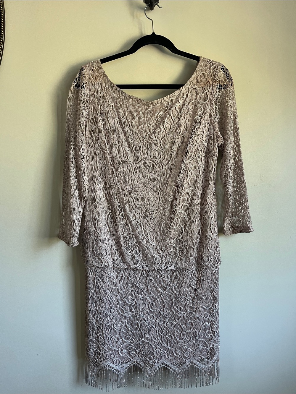 Blush Lace Long Sleeve Fringe Dress
